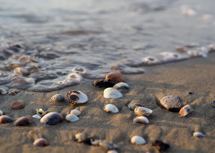 Two-level Rowhouse With Garden Villa Lo Stallone